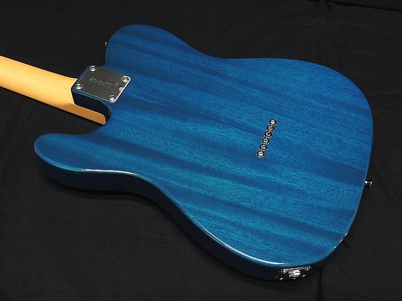 Amazon | FGN FUJIGEN NTE110MMHT TBL フジゲン Neo Classic SERIES